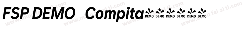 FSP DEMO   Compita字体转换